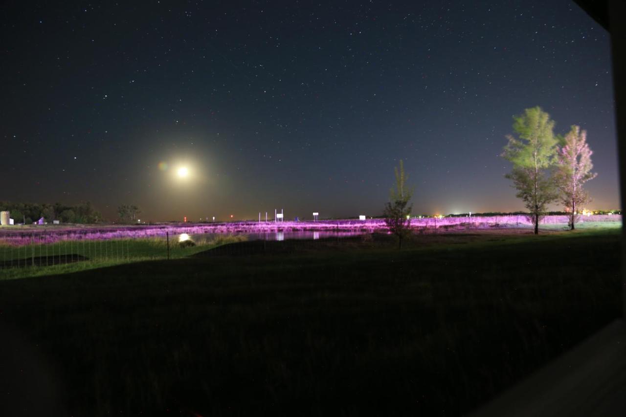 Artos Motel Harvey Exterior photo